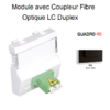 Module avec coupleur de fibre optique LC Duplex Quadro 45449SPM Noir MAT