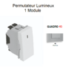 Permutateur Lumineux 1 module Quadro 45053SAL Alumine