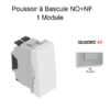 Poussoir à bascule NO+NF 1 module Quadro 45166SAL Alumine