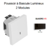 Poussoir à bascule Lumineux 2 modules Quadro 45152SPM Noir MAT