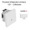 Poussoir à bascule Lumineux 12V 2 modules Quadro 45162SBM Blanc MAT