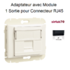 Adaptateur avec Module 1 sortie pour connecteur RJ45 Sirius70441SAT Anthracite