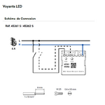 Voyant 45361 45362 Schéma de connexion