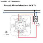 21162 Poussoir à bascule lumineux 12V