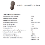 Ampoule LED voyant 81013 caractéristiques optiques