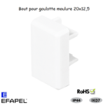 Bout pour goulotte série 10 Moulures 20x12,5 10035ABR