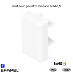 Bout pour goulotte série 10 Moulures 40x12,5 10055ABR