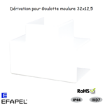 Dérivation pour goulotte série 10 Moulures 32x12,5 10401ABR