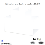 Dérivation pour goulotte série 10 Moulures 50x20 10501ABR