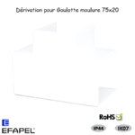Dérivation pour goulotte série 10 Moulures 75x20 10141ABR