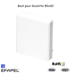 Bout pour goulotte série 13 80x60 13065