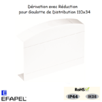 Dérivation avec réduction pour goulotte série 10 distribution 10088