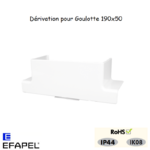 Dérivation pour L45 11041