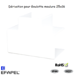 Dérivation pour goulotte série 10 Moulures 25x16 10451ABR