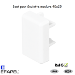 Bout pour goulotte série 10 Moulures 40x25 10485ABR