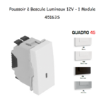 Poussoir à bascule Lumineux 12V 1 module Quadro 45163S