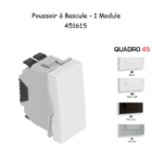 Poussoir à bascule 1 module Quadro 45161S