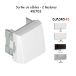 Sortie de câbles 2 modules 45170S