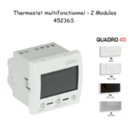 Thermostat Multifonctionnel 2 modules Quadro 45236S