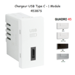 Chargeur USB Type C - 1 Module 45387S