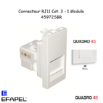 Module avec connecteur RJ11 CAt. 3 45972SBR