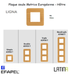 Plaque LIGNA matrice européenne 42910TFA 42920TFA 42930TFA 42940TFA Hêtre
