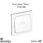 Interrupteur Témoin 47013