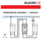 Permutateur Lumineux 1 module Quadro 45053S Schéma