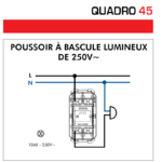 Poussoir à Bascule Lumineux Quadro 45152S 45160S Schéma