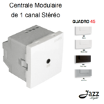 Centrale modulaire de 1 canal Stéréo 2 modules quadro45 45391S