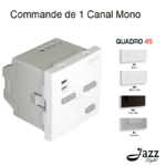 Commande de 1 canal Mono 2 modules quadro45 45371S