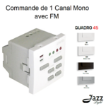 Commande de 1 canal Mono avec FM modules quadro45 45373S
