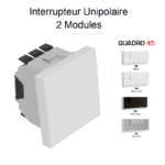 Interrupteur unipolaire 2 modules Quadro 45011S