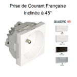 Prise de courant française inclinée 45° 2 modules Quadro 45112S