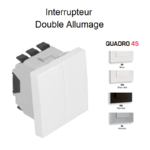 Interrupteur double allumage 2 modules Quadro 45061S