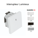 Interrupteur lumineux 2 modules Quadro 45012S