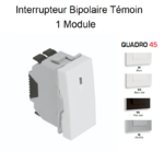 Interrupteur Bipolaire témoin 1 module Quadro 45026S
