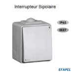 Interrupteur Bipolaire Etanche 48 EFAPEL 48021C