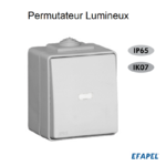 Interrupteur Permutateur Inevrseur LumineuxEtanche 48 EFAPEL 48052C