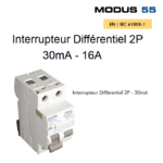 Interrupteur Différentiel 2P 30mA 16A - 55616 2BC