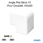 Angle plat pour goulotte 100x60 série 13 13083ABR