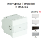 interrupteur-temporise-2-modules-quadro-45040s