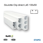 Goulotte distribution 100x50 11020CBR