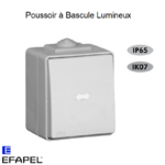 Interrupteur Poussoir à Bascule Lumineux Etanche 48 EFAPEL 48152C