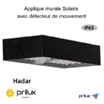 applique-murale-led-solaire-avec-detecteur-6w-hadar-noir-590747