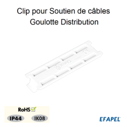 Goulotte appareillable PVC EFAPEL 110 x 50 mm  Goulotte electrique avec  prise chez bis-electric