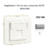 Adaptateur avec 1 module 1 sortie pour connecteur RJ45 Apolo 50441SPR Argent