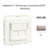 Adaptateur avec 1 module 2 sorties pour connecteurs RJ45 Apolo 50442SPL Platine