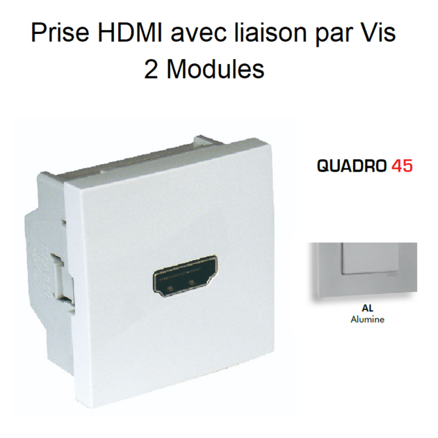 Prise HDMI avec liaison par Vis - Semi-Assemblée - 2 Modules Q45