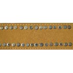 Détail boucle en ammonite ceinture AMMONITE Marie Lindien 2